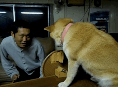 cuoi-rung-ron-voi-24-dieu-ky-quac-chi-co-o-nhat-ban